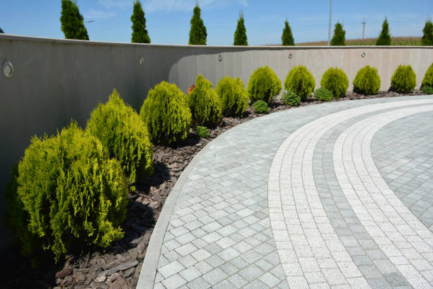 Best Driveway Paving Contractor  in Saline, MI